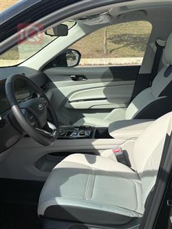 فورد تيريتوري